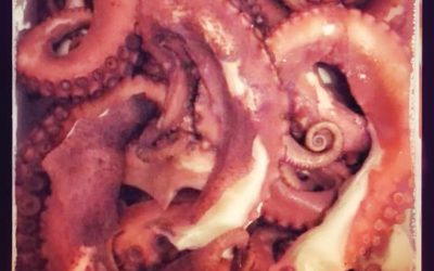 Las maravillas de nuestros mares