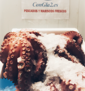 Congla2 pulpo cocido T5 elabora2
