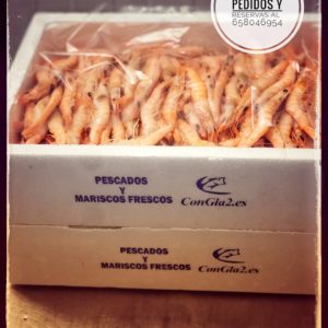 Gamba blanca cocida M